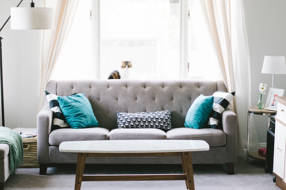 renters insurance Tampa FL